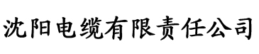 饭团网电缆厂logo